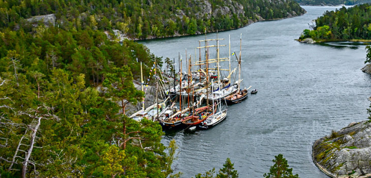 Foto: Max Sahlström